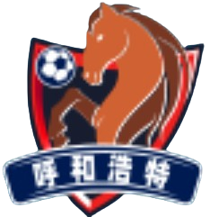 呼和浩特队